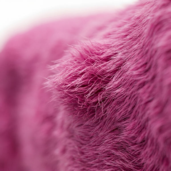 The Colour & The Fur