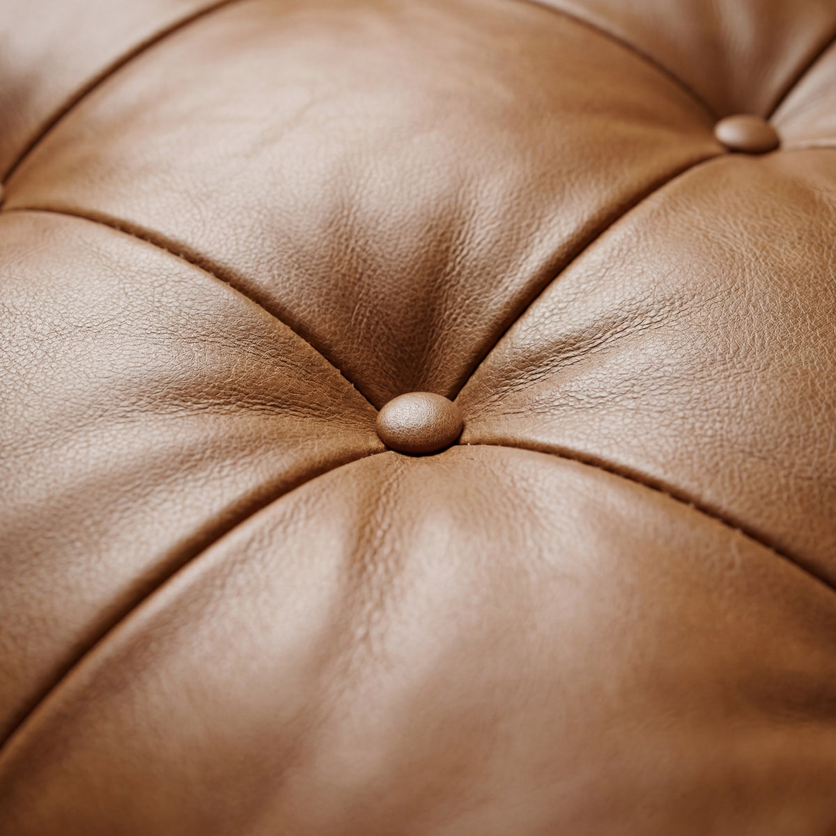 Rolo 2 Seater Sofa - View 5 | Vibe Sofas Australia